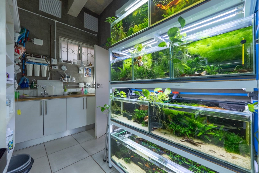 2 Bedroom Property for Sale in Tamboerskloof Western Cape